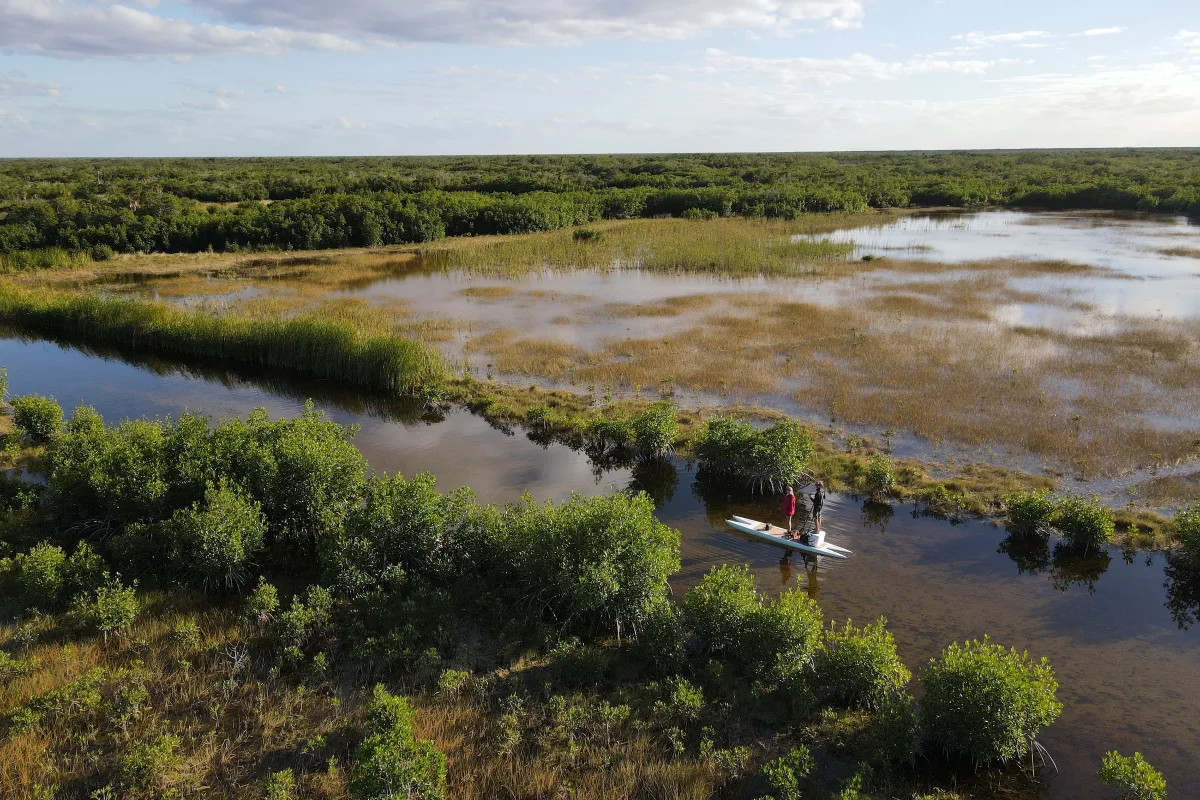 Launch your tour of Big Cypress from Everglades Isle